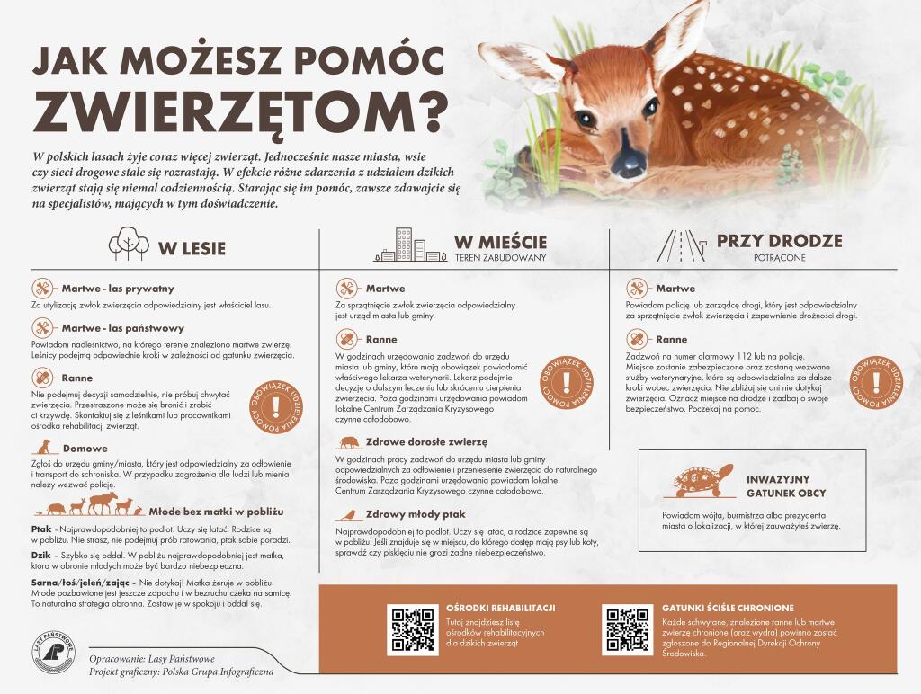 jak pomóc zwierzętom jak pomóc zwierzętom